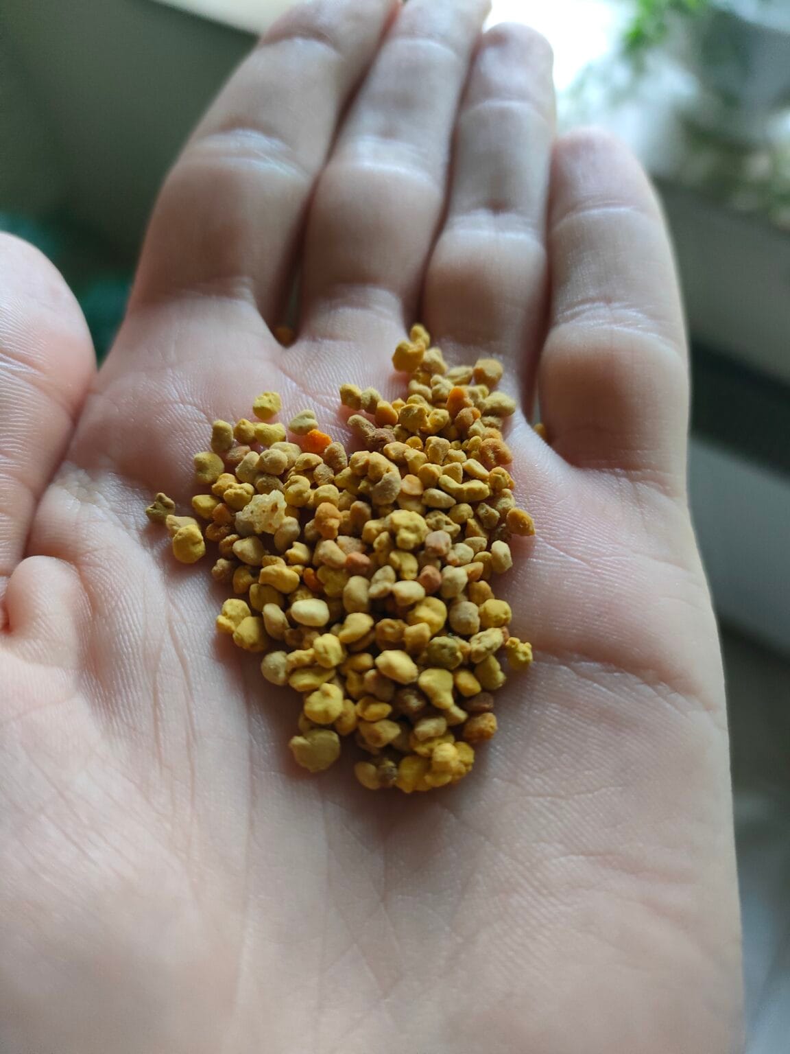How much bee pollen to take
