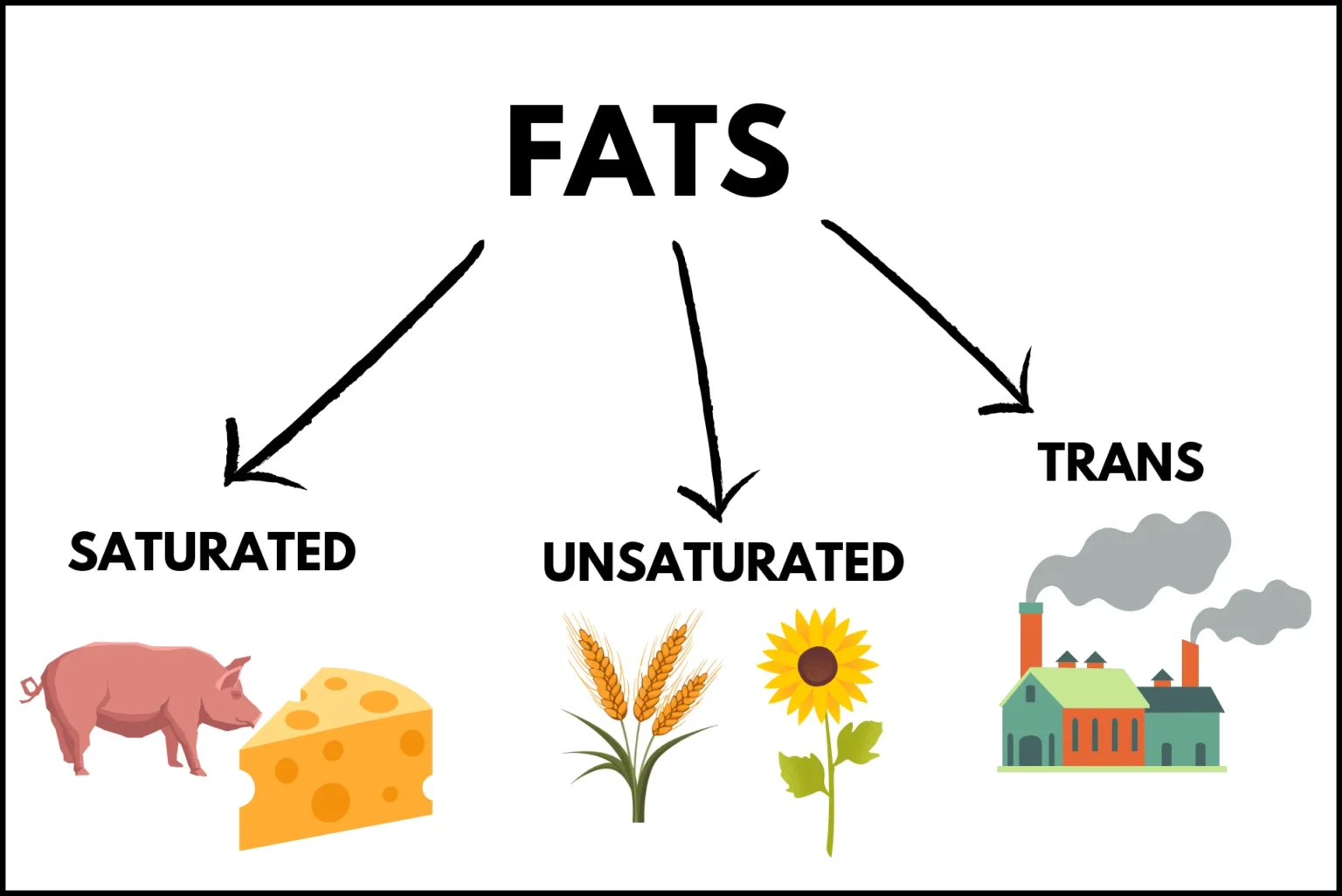 Kind of fats with examples