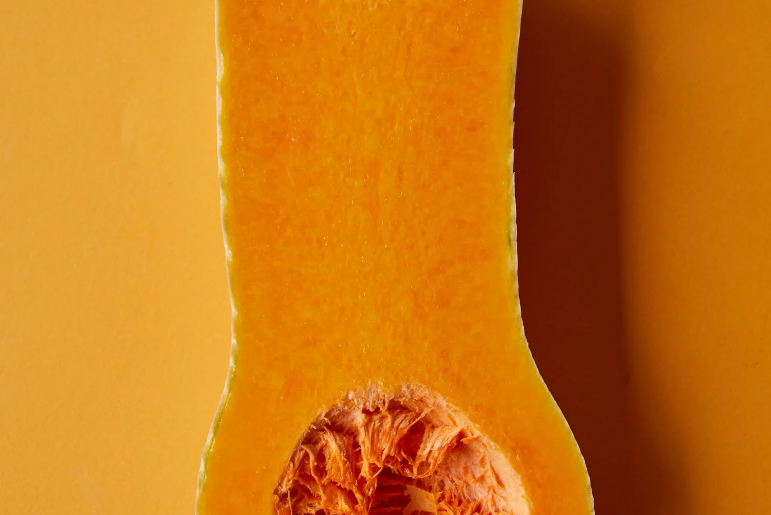 Butternut squash cut in half