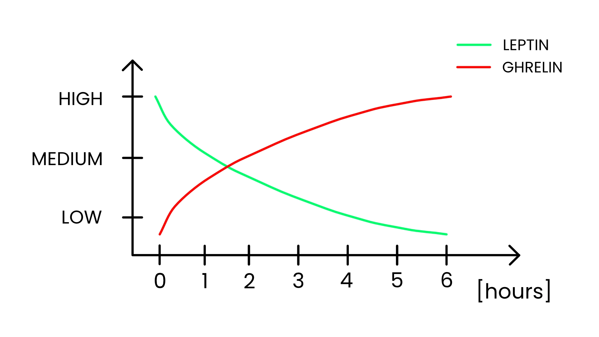 A line graph showing changes in leptin and ghrelin levels over time since the last meal. The horizontal axis represents hours (0 to 6), and the vertical axis shows hormone levels from low to high. The green line (leptin) starts high at 0 hours and steadily decreases toward low levels by hour 6. The red line (ghrelin) starts low at 0 hours and gradually rises to higher levels as time passes, crossing the leptin curve around the midpoint.